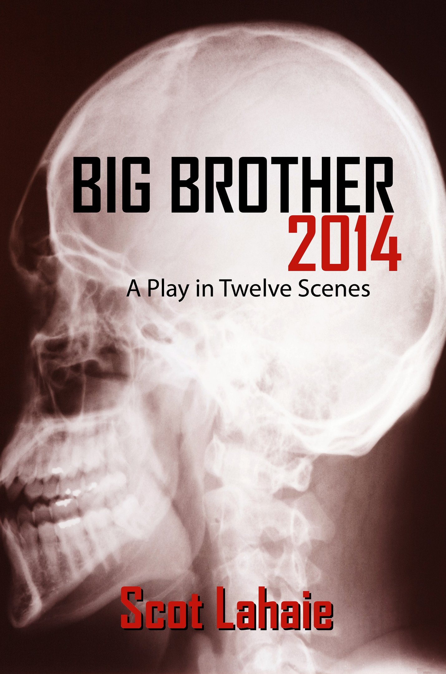 Big Brother 2014